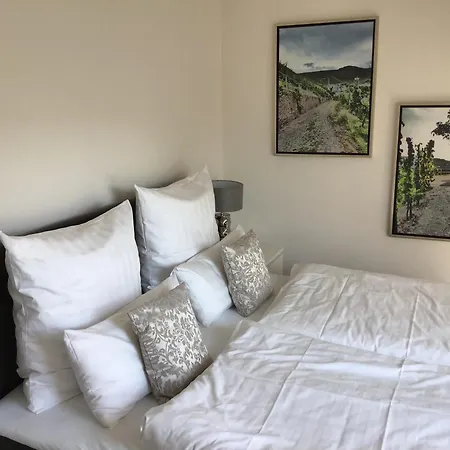Mosel Palais Appartement *