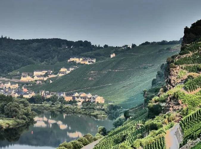 Mosel Palais Apartment